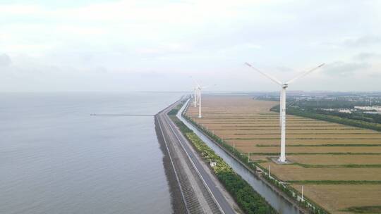 上海崇明长江口大风车长江大桥4K航拍