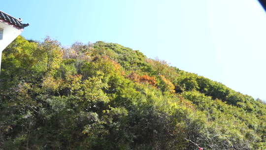 秦岭山脉秋季风景视频素材模板下载