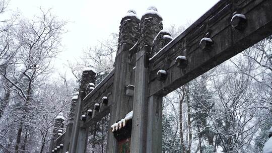 南京明孝陵雪景，牌楼，雪花，大雪，意境