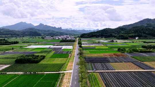 航拍武夷山绿色农田与茶园延时