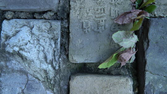 旅游景区 南京明城墙 垂直拍摄刻字砖 上移