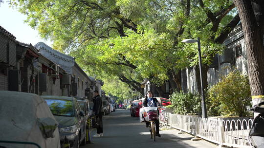 北京胡同秋天秋色秋景秋季