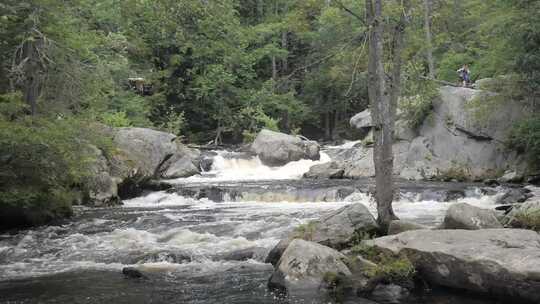 森林岩石瀑布河流