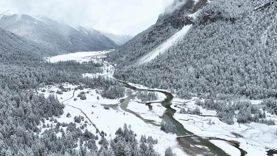 西藏林芝巴松措，雪山森林河流雪地雪景航拍