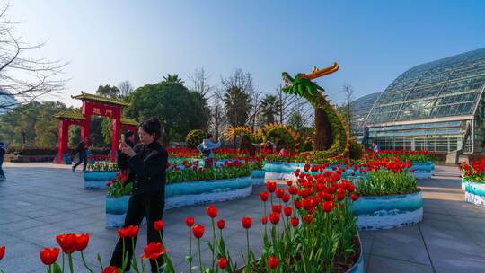 8K重庆南山植物园人流视频素材模板下载