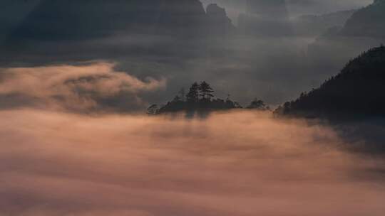 武夷山 山峰 树林 云海