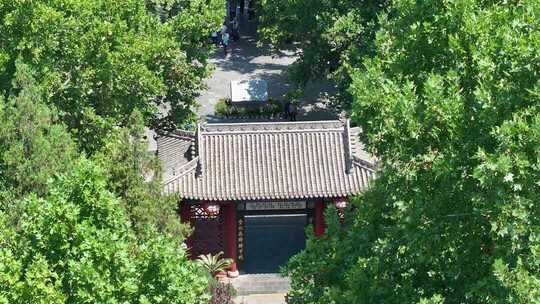 洪洞大槐树【4分30秒素材】