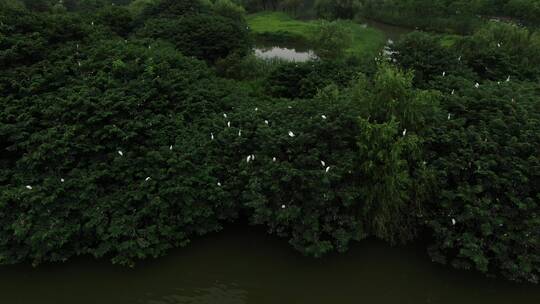 航拍杭州湘湖风景