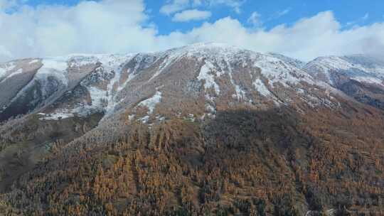 航拍秋天的喀纳斯雪山河流