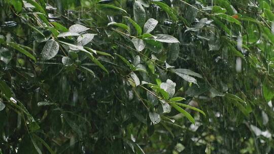 下暴雨-局部