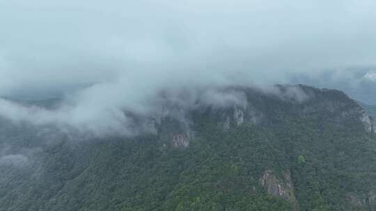 雨后森林航拍原始森林山峰云雾缭绕