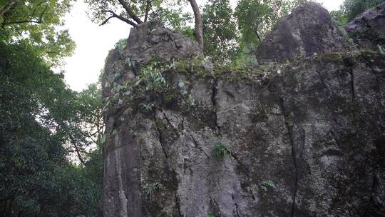 杭州飞来峰灵隐寺青林洞