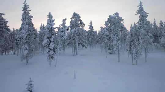 无人机降落在芬兰北极圈拉普兰下雪的冬季仙