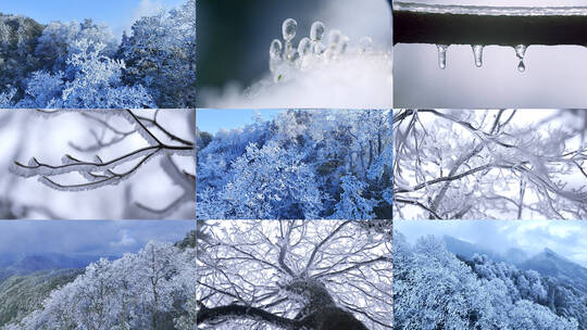 雪 霜降 雪景 树结冰 冰雪 大雪高清在线视频素材下载