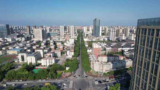 城市鸟瞰全景图展示密集的高楼大厦