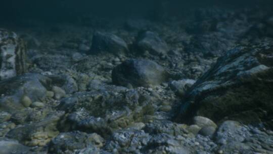 幽深海底石块实拍