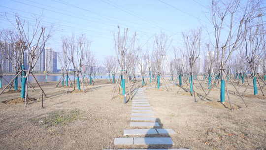 武汉东西湖黄塘湖公园风景