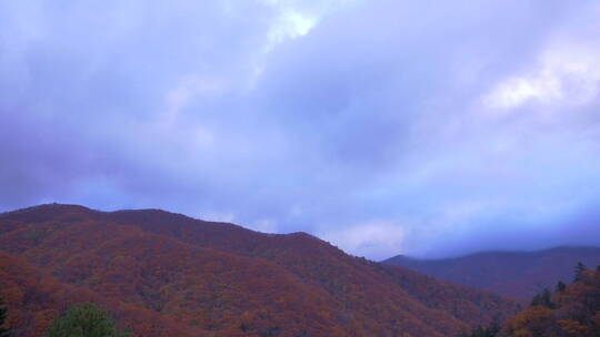 韩国五台山秋景 山峰红叶 流云 延时