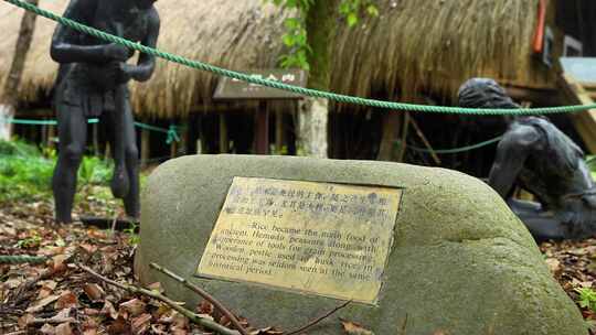 浙江余姚河姆渡遗址