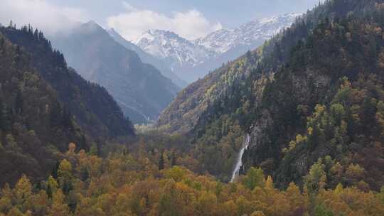 青海互助北山秋林航拍视频