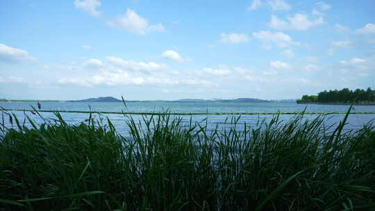 武汉武昌区东湖风景区