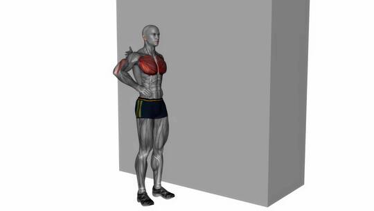 站立单臂伸胸健身锻炼运动3D演示动画