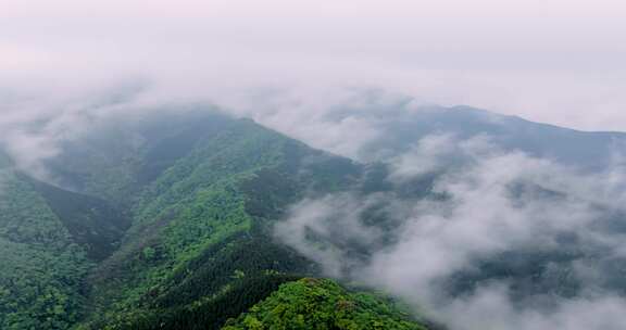 （合集）广西山区竹林竹海竹山云海延时