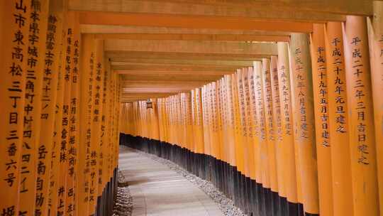 日本神社伏见稻荷大社慢动作，色彩丰富，语