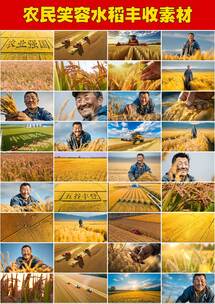 丰收时节农田劳作秋收农民伯伯微笑水稻大米高清在线视频素材下载