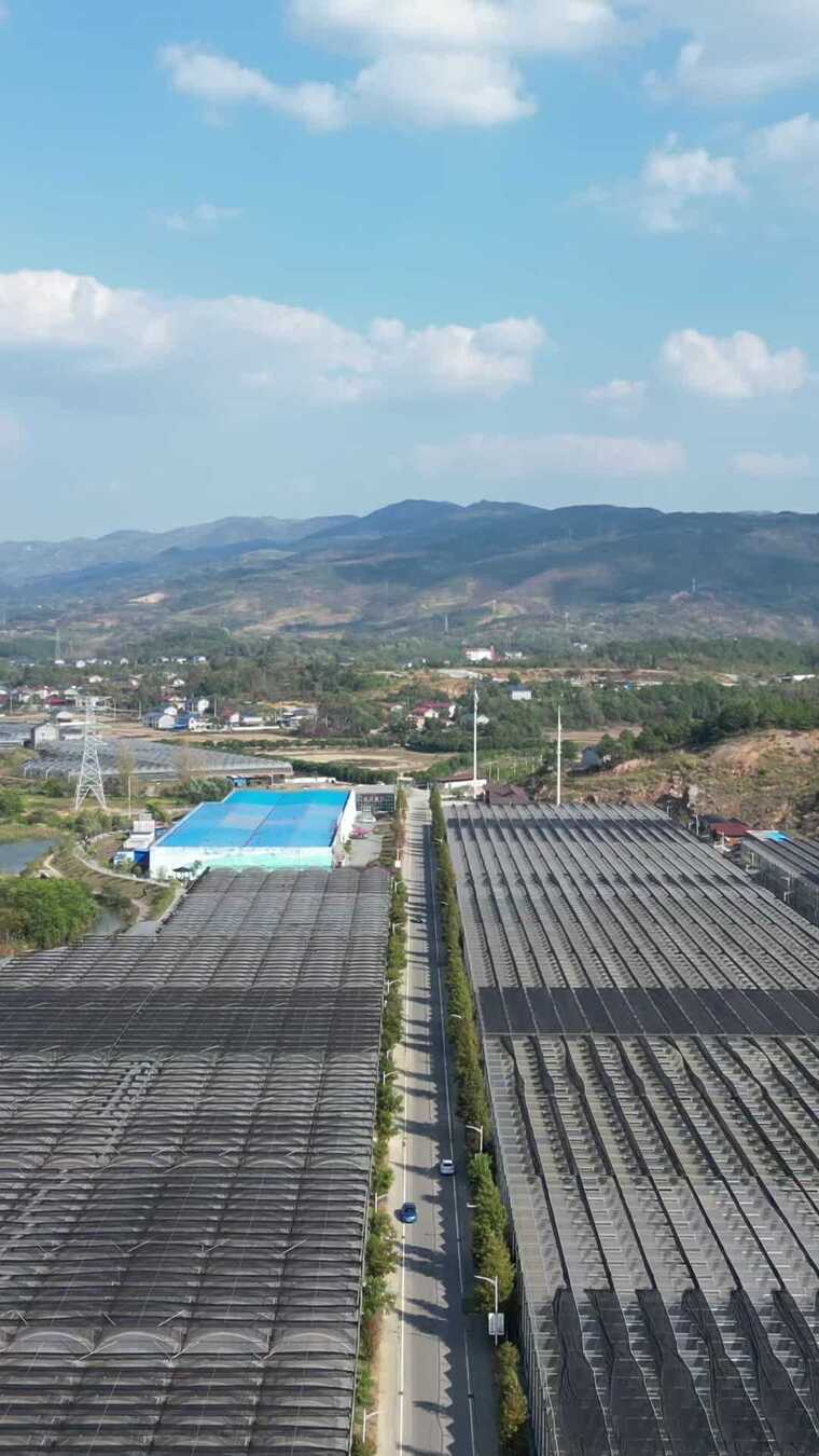 竖版航拍现代农业大棚蔬菜种植基地