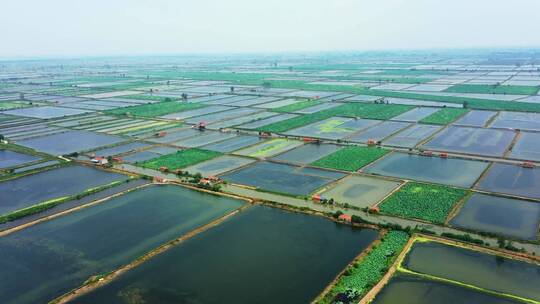 航拍湖区渔民水产养殖基地