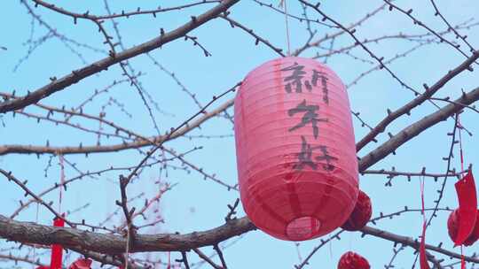 杭州西湖钱王祠新年祈福红灯笼