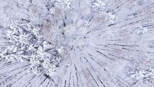 航拍山王坪冬天雪景