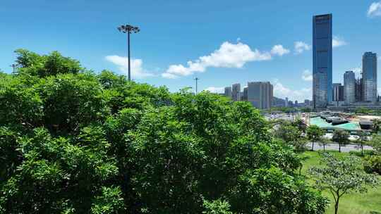 深圳湾一号 深圳湾 深圳 深圳后海视频素材模板下载