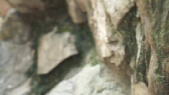 假山石雕塑中式园林造景