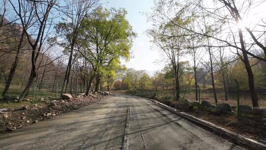 开车第一视角沿途风景 行驶在公路上