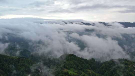 大雾清晨云雾大山云海森林自然云山脉山区