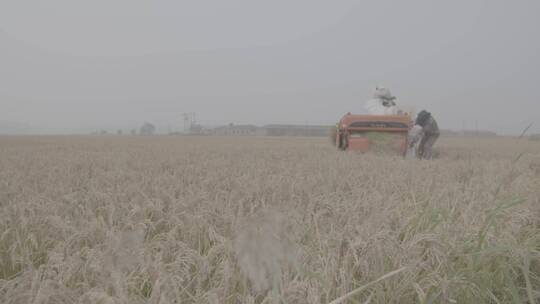 水稻机械化收割LOG