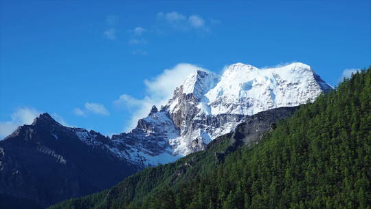 贡嘎雪山 雪山森林云雾延时