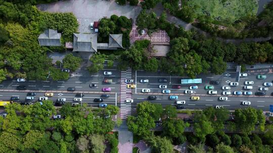生态城市公路航拍视频素材模板下载