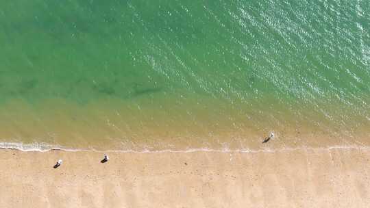 海滩海岸宁静海浪