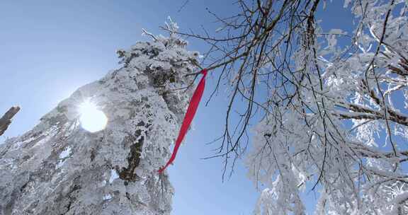 高清实拍瓦屋山冬天雪景雪山森林