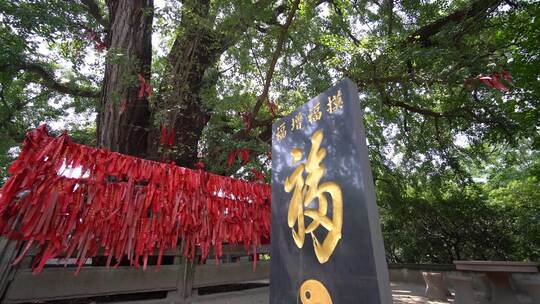 山东省荣成市圣水观风景区观内景观