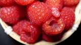树莓蔓越莓浆果水果美食高清在线视频素材下载