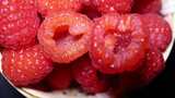 树莓蔓越莓浆果水果美食高清在线视频素材下载