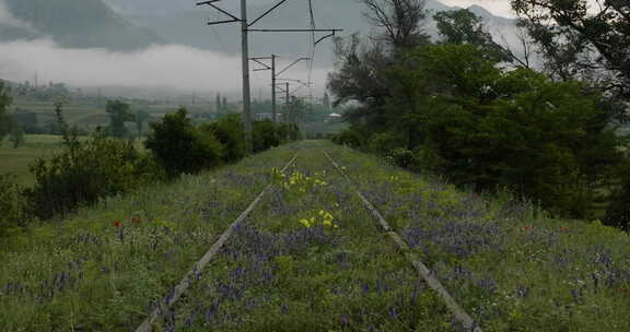 格鲁吉亚阿茨库里附近被遗弃的铁轨，天空阴沉。空中撤退