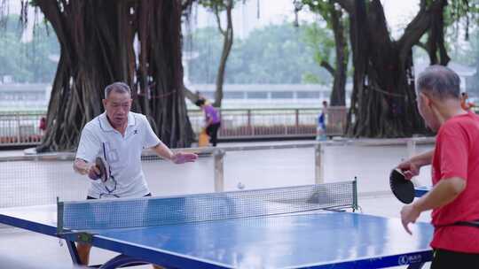 老人打乒乓球 休闲娱乐退休生活视频素材模板下载