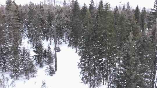 航拍新疆冬季喀纳斯湖雪景雪山森林冰河晨雾