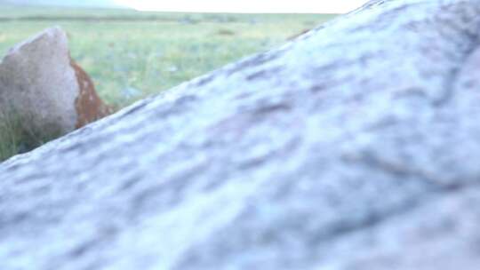 B新疆 准噶尔 草原 巨石 特写视频素材模板下载