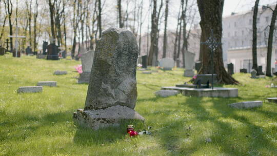 墓园里的墓碑